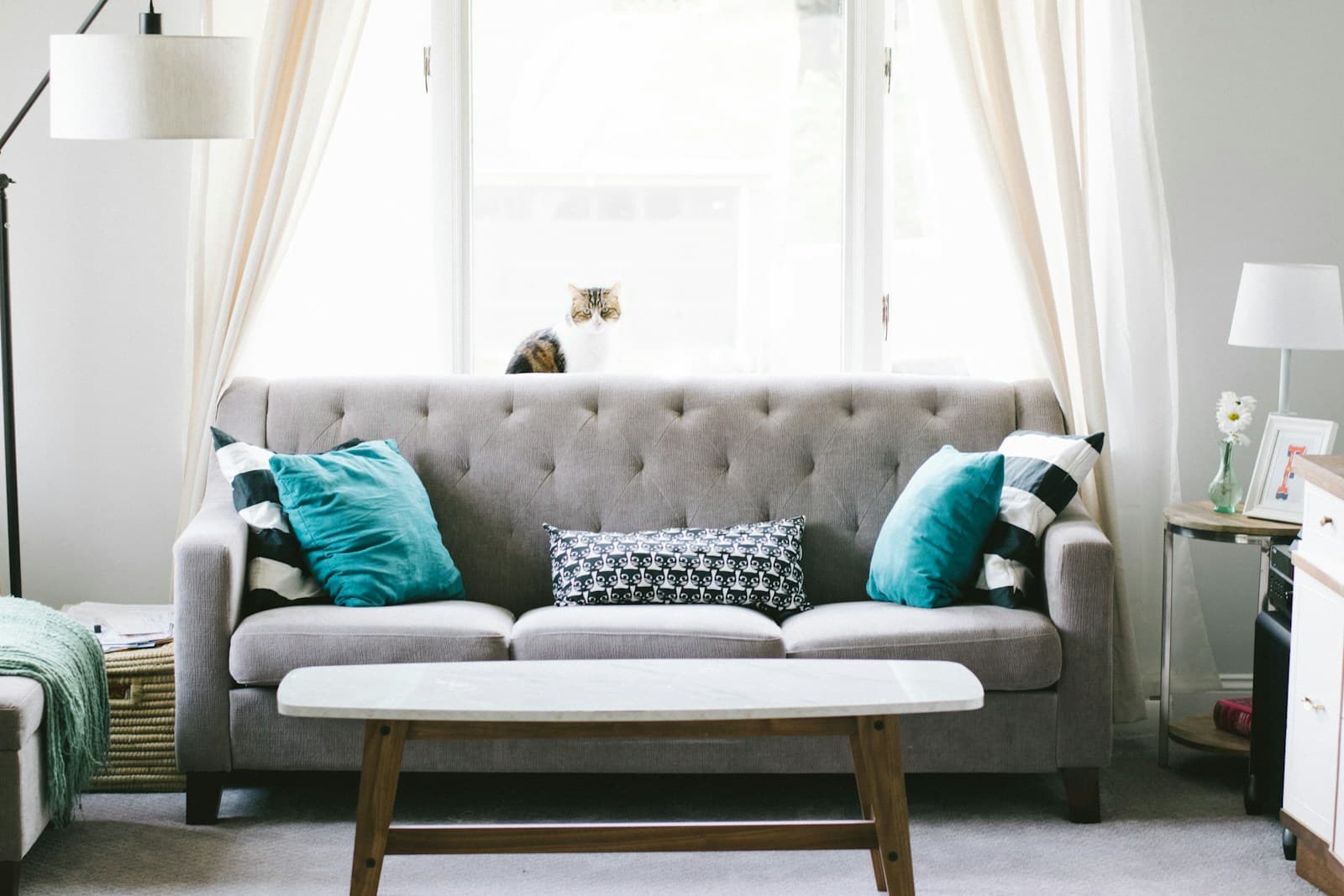 Click here to book your FREE no-obligation valuation
